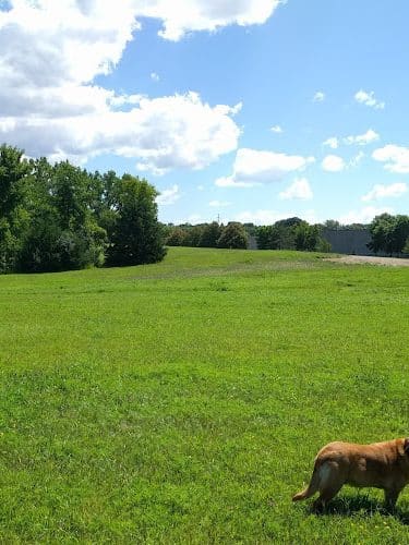 Bloomington Off-leash Dog Park