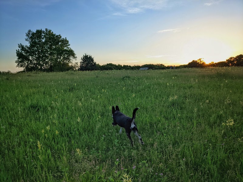 Bloomington Off-leash Dog Park - Bloomington, MN