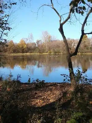 Bloomington Off-leash Dog Park