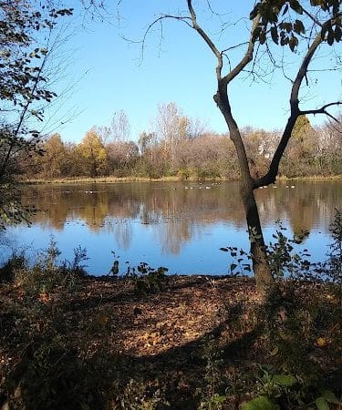 Bloomington Off-leash Dog Park