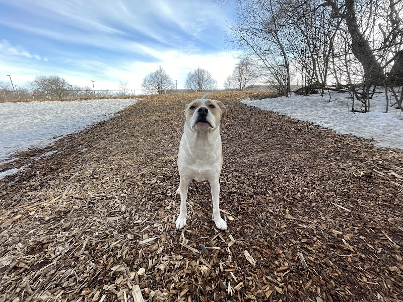 Bloomington Off-leash Dog Park - Bloomington, MN