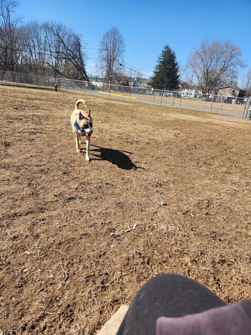 Bloomsburg Dog Park - Bloomsburg, PA