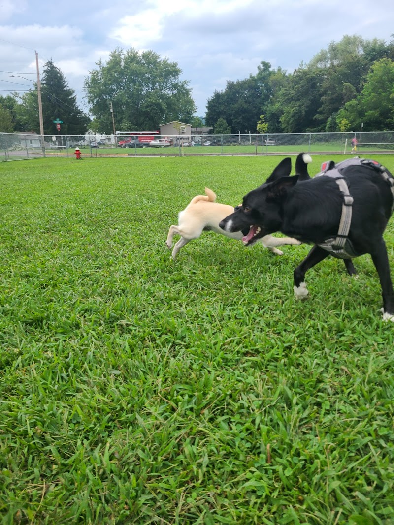 Bloomsburg Dog Park - Bloomsburg, PA