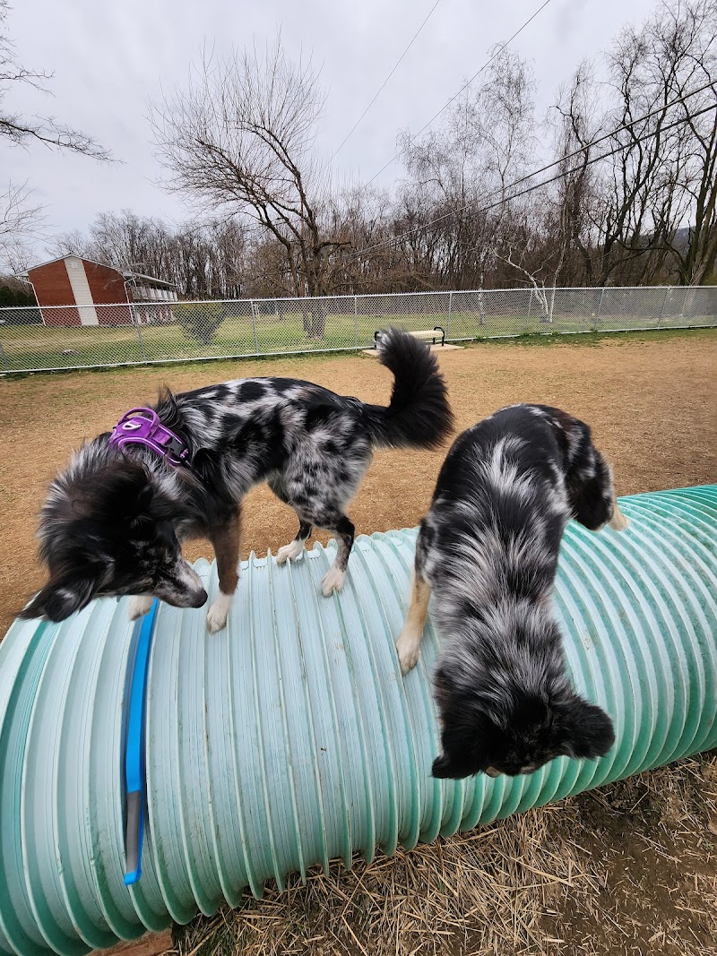 Bloomsburg Dog Park - Bloomsburg, PA