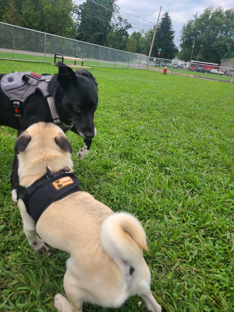 Bloomsburg Dog Park - Bloomsburg, PA