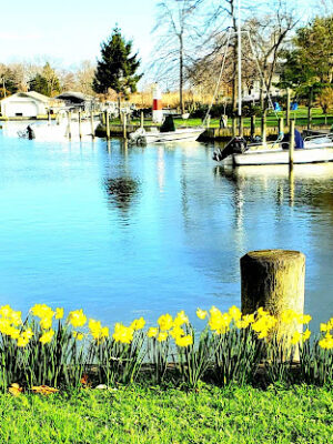North Corey Park