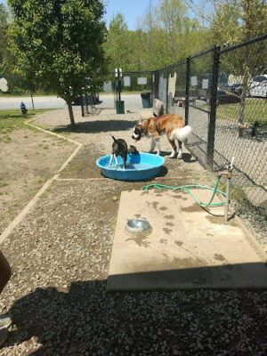 The Haven Off Leash Dog Park