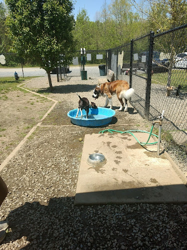 The Haven Off Leash Dog Park