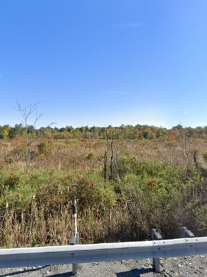 Happel's Meadow Wetland Preserve
