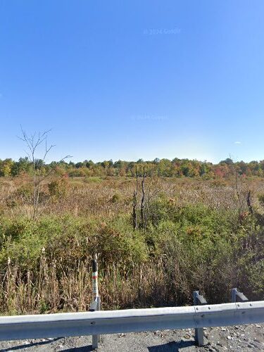 Happel's Meadow Wetland Preserve