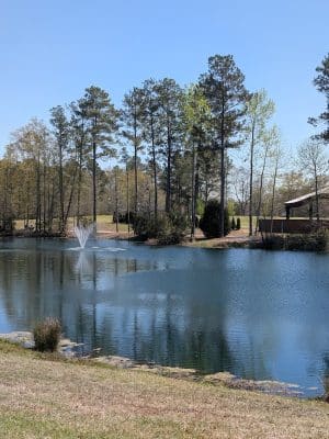 Doko Meadows Park