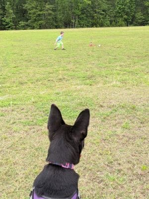 Doko Meadows Park