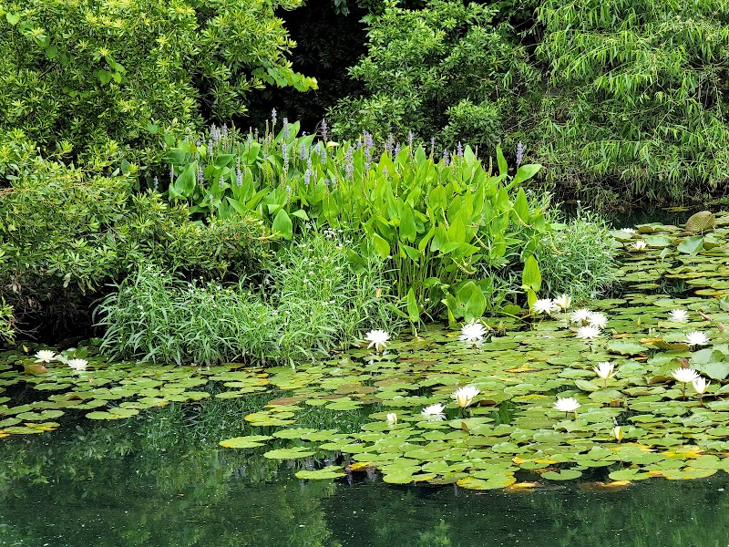 Doko Meadows Park - Blythewood, SC