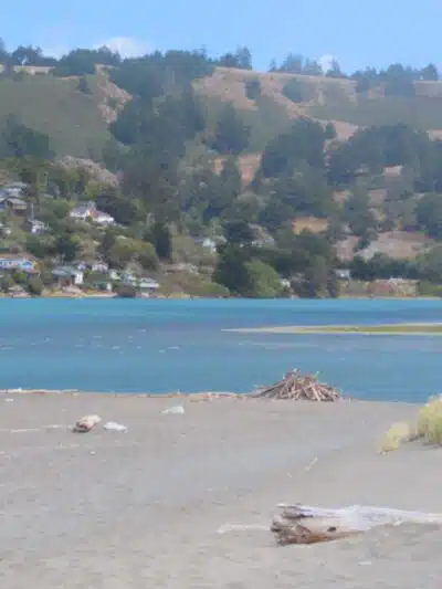 Sonoma Coast State Park - Bodega Bay, CA