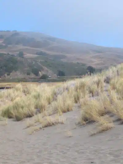 Sonoma Coast State Park - Bodega Bay, CA
