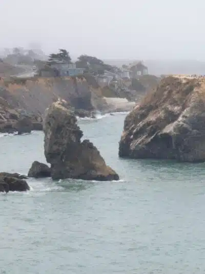 Sonoma Coast State Park - Bodega Bay, CA