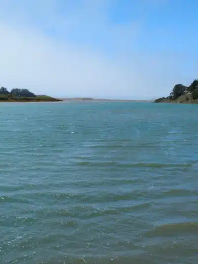 Sonoma Coast State Park - Bodega Bay, CA