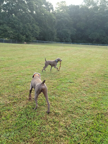 Oconee Veterans Park Bark Park