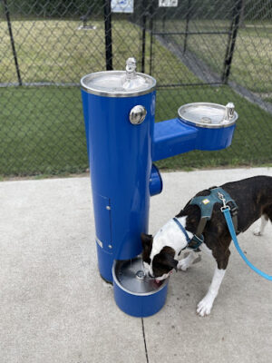 Pawtocka Dog Park