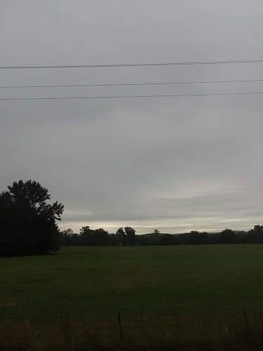 Lavaca BEAGLE Club - Booneville, AR