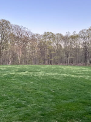 Tourne County Park, Boonton Access