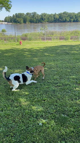 Water Street Dog Park
