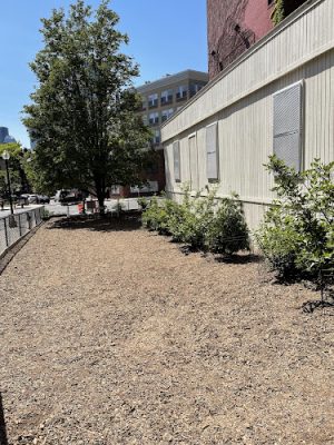 Bay Village Dog Park