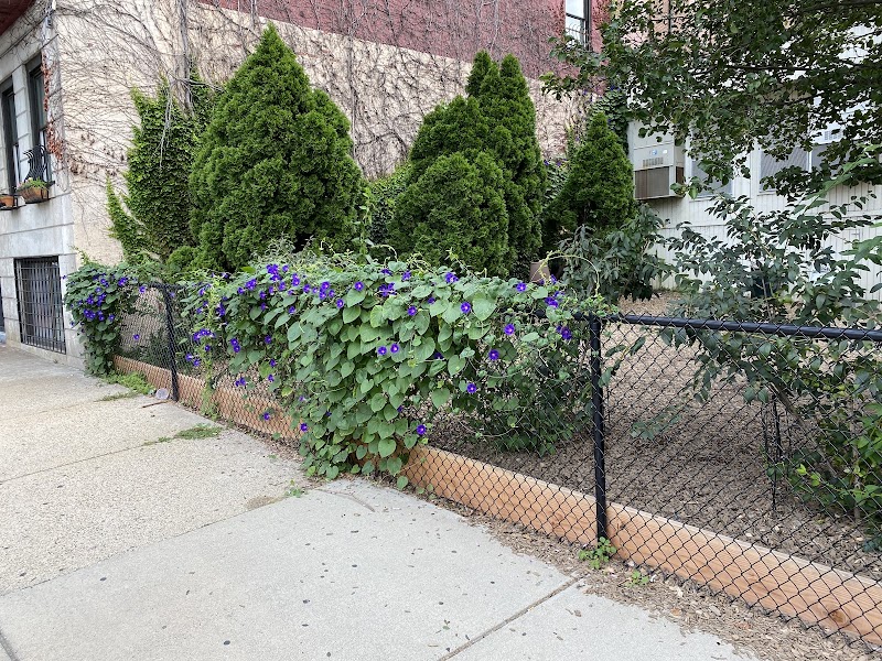 boston-massachusetts-bay-village-dog-park-4