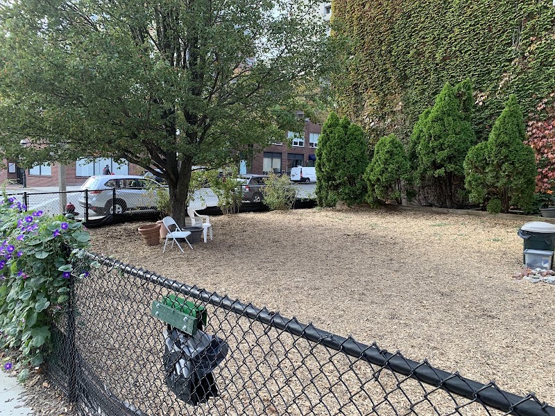 boston-massachusetts-bay-village-dog-park-8