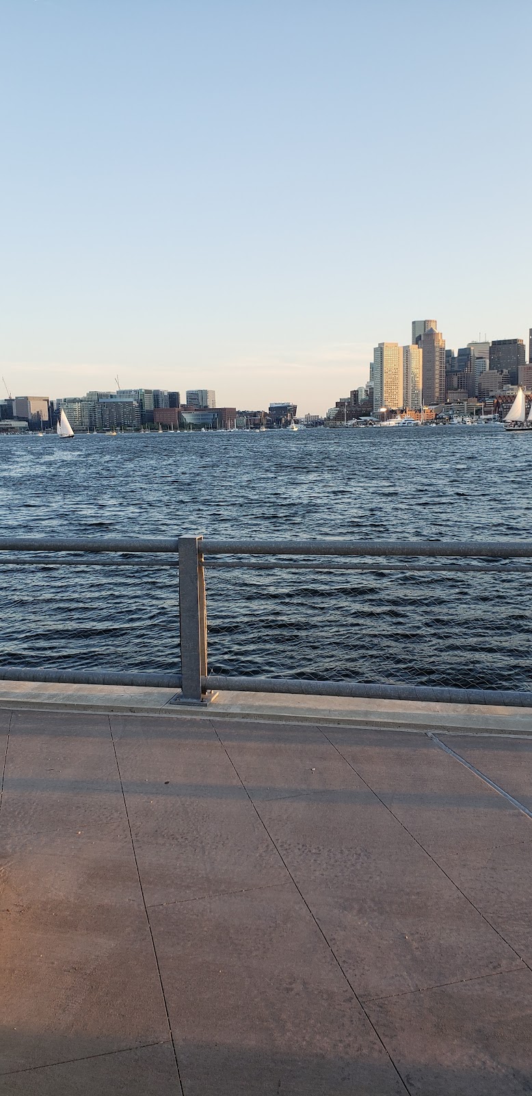 boston-massachusetts-dog-park-1