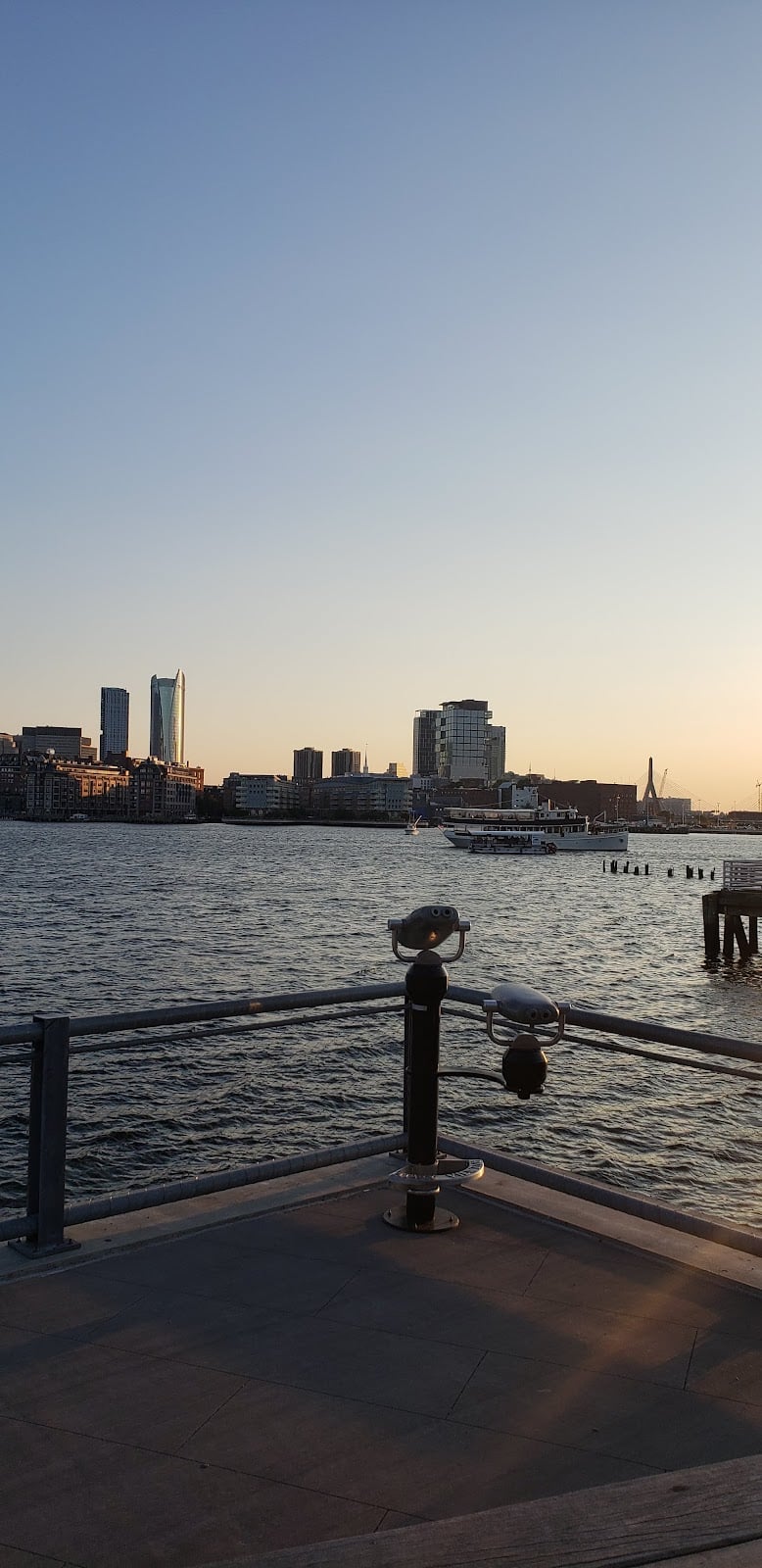 boston-massachusetts-dog-park-5