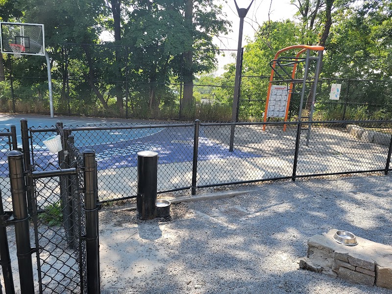 boston-massachusetts-dog-park-at-downer-avenue-park-2