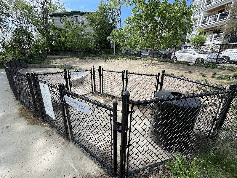 boston-massachusetts-dog-park-at-downer-avenue-park-3