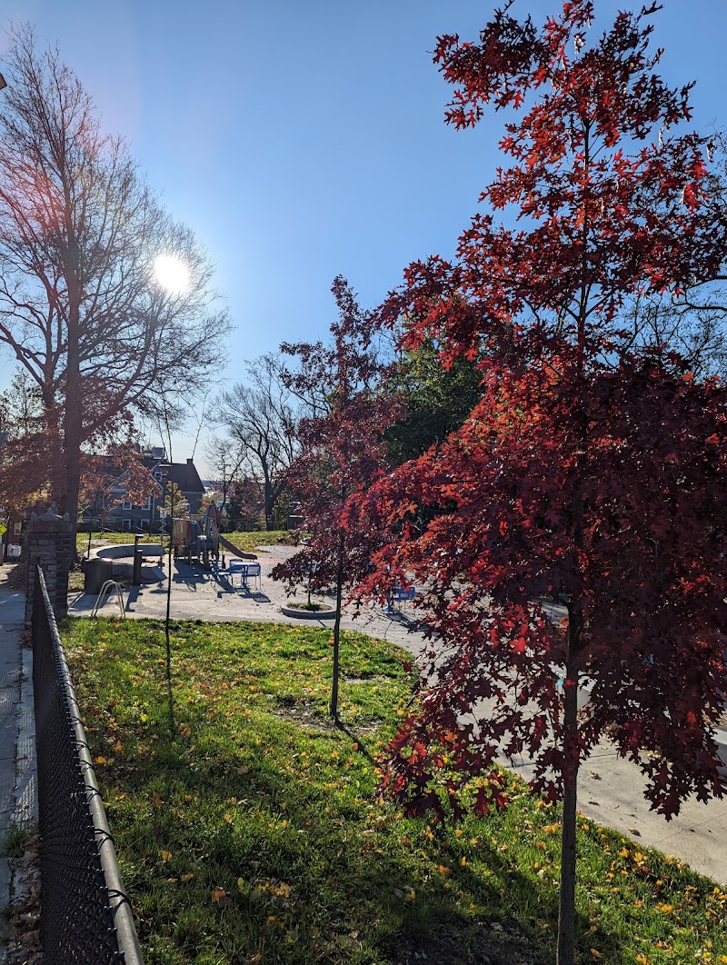 boston-massachusetts-dog-park-at-downer-avenue-park-4