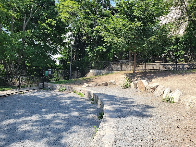 boston-massachusetts-dog-park-at-downer-avenue-park-6
