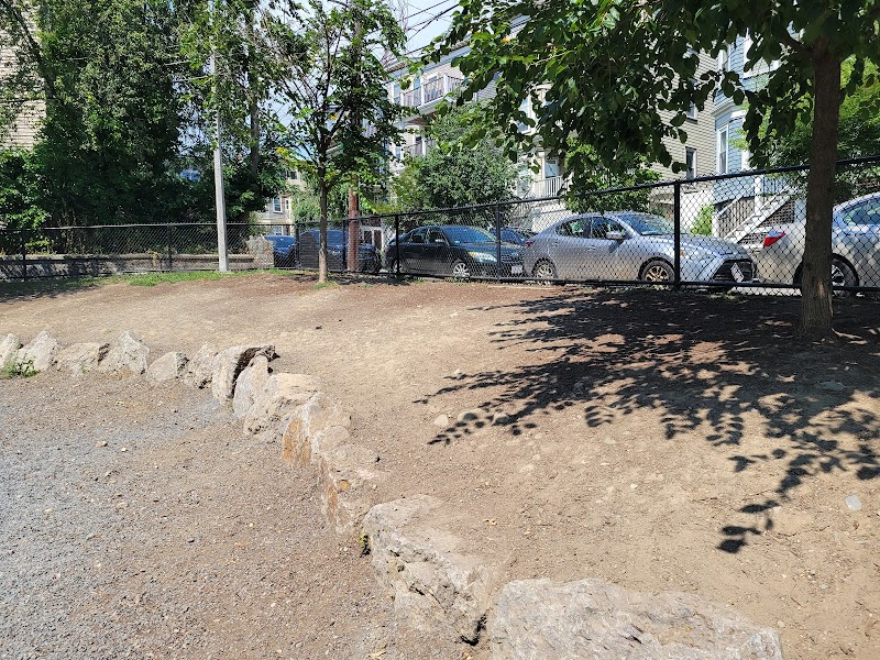 boston-massachusetts-dog-park-at-downer-avenue-park-7