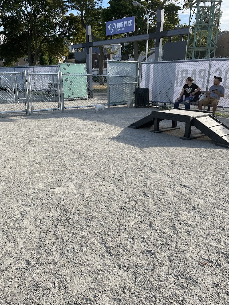 boston-massachusetts-dog-park-at-the-track-2