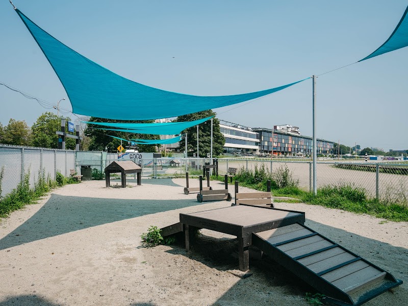 boston-massachusetts-dog-park-at-the-track-3