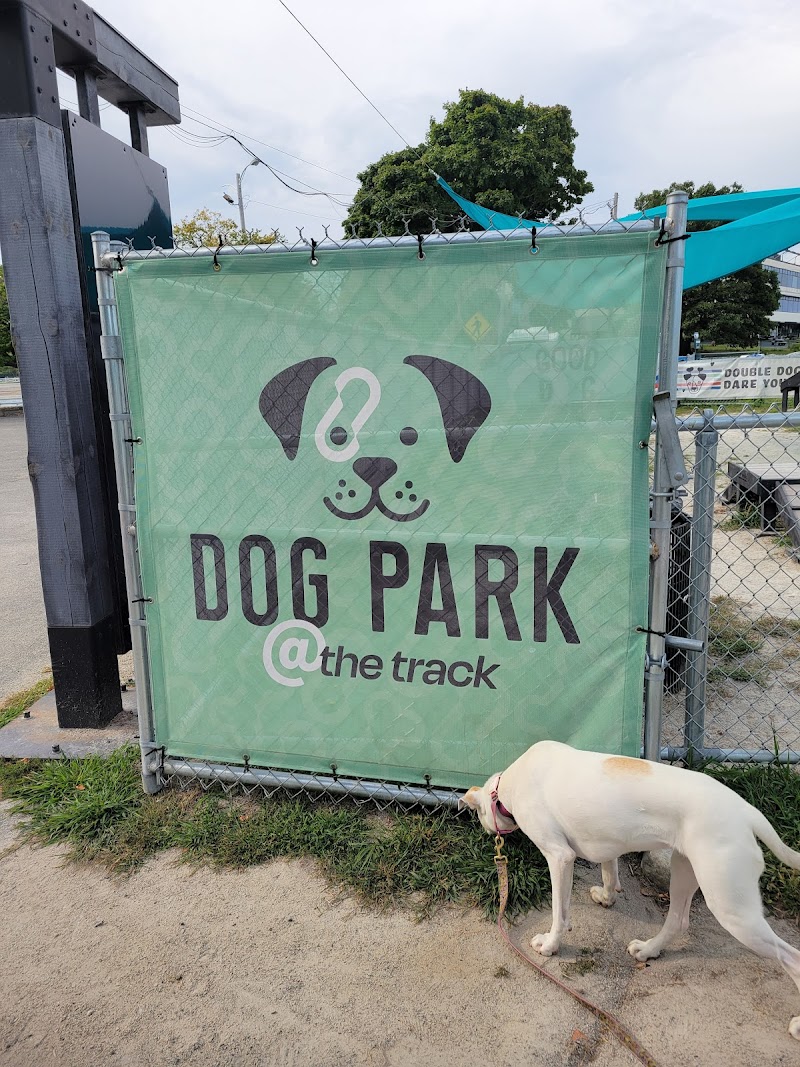boston-massachusetts-dog-park-at-the-track-7