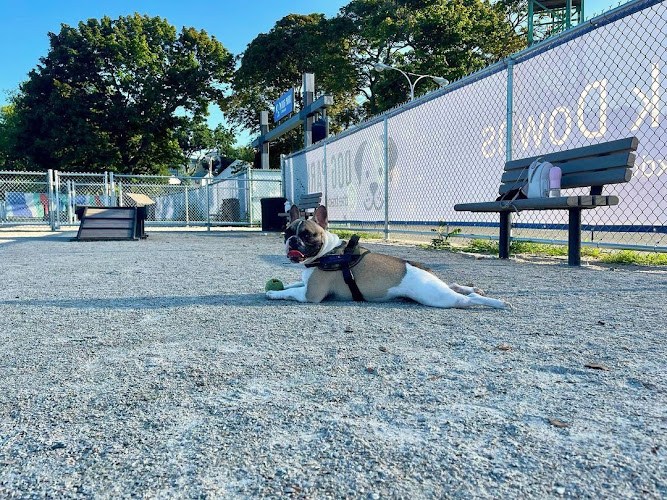 Dog Park at The Track - Boston, MA