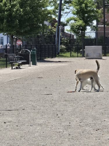 East 1st Dog Park