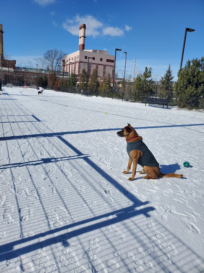 boston-massachusetts-east-1st-dog-park-9