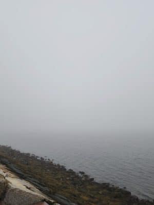 Harbor Point Dog Park