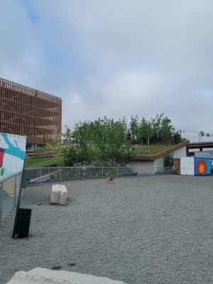Hood Park Dog Playground