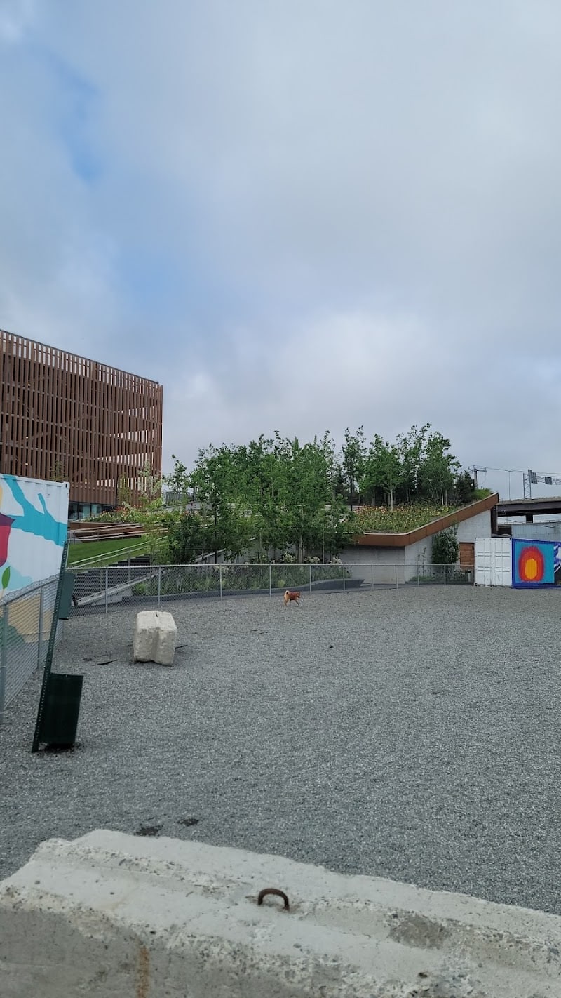 Hood Park Dog Playground - Boston, MA