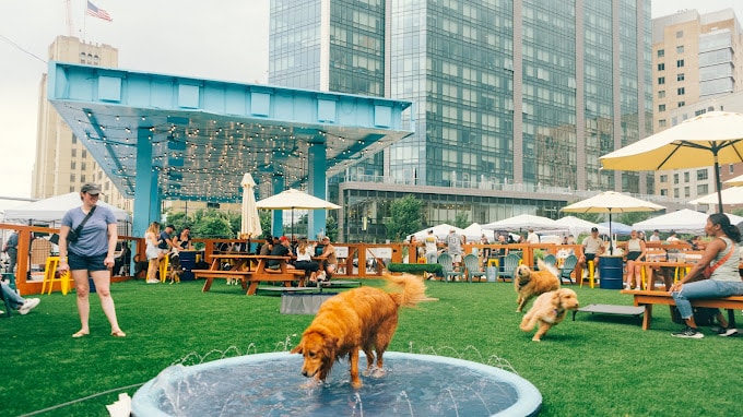 boston-massachusetts-park-9-dog-bar-9