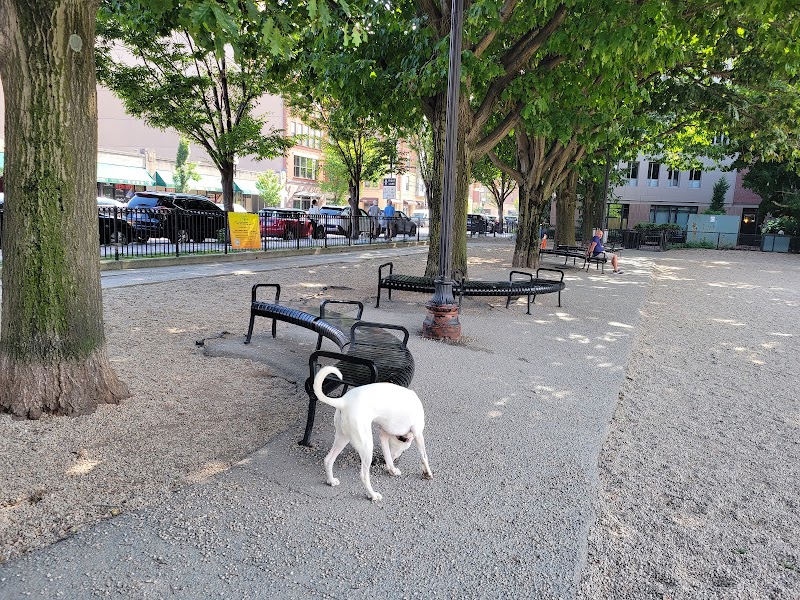 boston-massachusetts-peters-park-dog-park-1