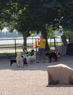 South Boston Bark Park