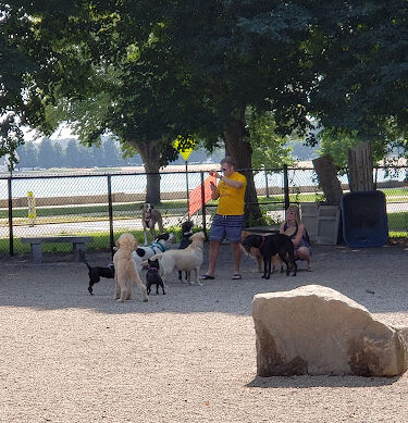 South Boston Bark Park