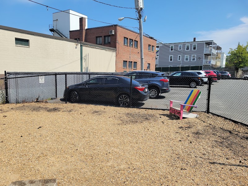 boston-massachusetts-south-end-dog-run-2